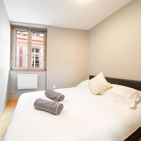 Le Roi Lion Centre Parking Gratuit *