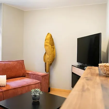 Le Roi Lion Centre Parking Gratuit