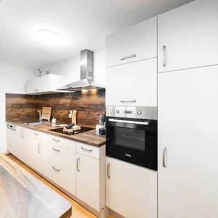 Apartment Le Roi Lion Centre Parking Gratuit Colmar