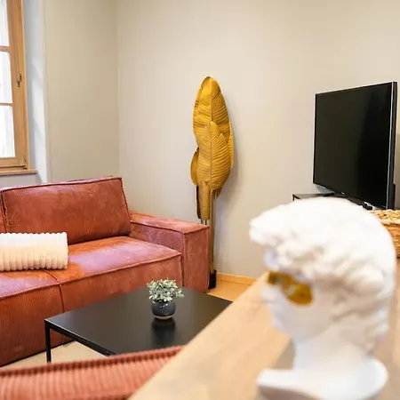 Apartment Le Roi Lion Centre Parking Gratuit