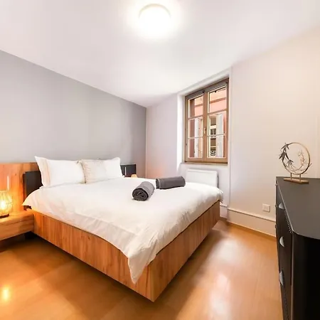 Le Roi Lion Centre Parking Gratuit Apartment *