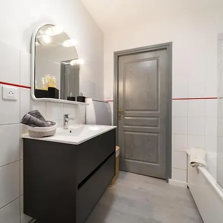 Le Roi Lion Centre Parking Gratuit * Κολμάρ