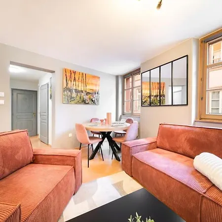 Daire Le Roi Lion Centre Parking Gratuit