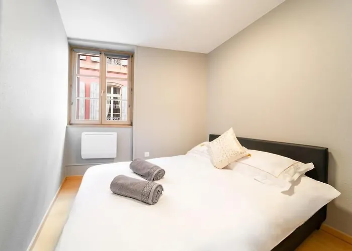 Le Roi Lion Centre Parking Gratuit *