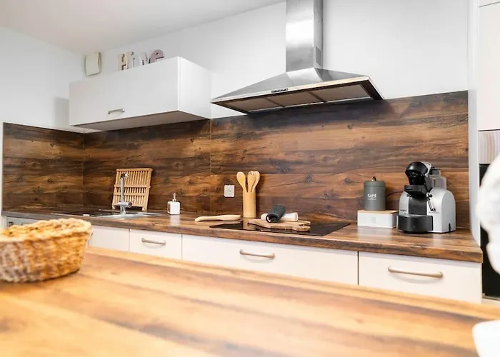 Daire Le Roi Lion Centre Parking Gratuit *