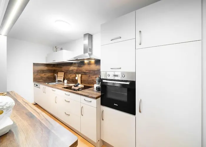 Apartment Le Roi Lion Centre Parking Gratuit Colmar