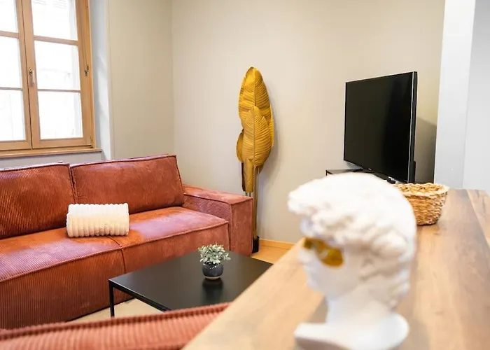 Daire Le Roi Lion Centre Parking Gratuit