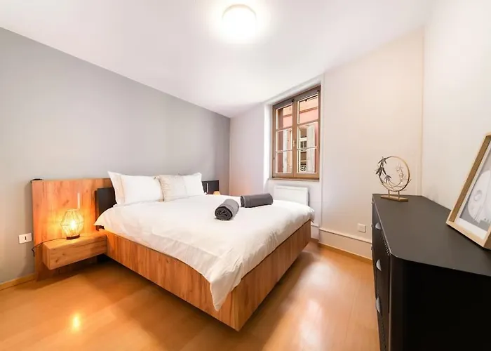 Le Roi Lion Centre Parking Gratuit Daire *