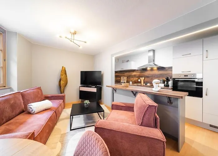 Le Roi Lion Centre Parking Gratuit Colmar