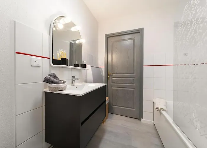 Le Roi Lion Centre Parking Gratuit * Colmar