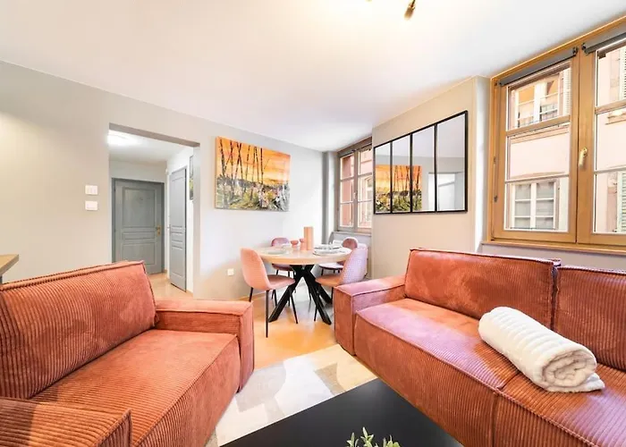 Daire Le Roi Lion Centre Parking Gratuit